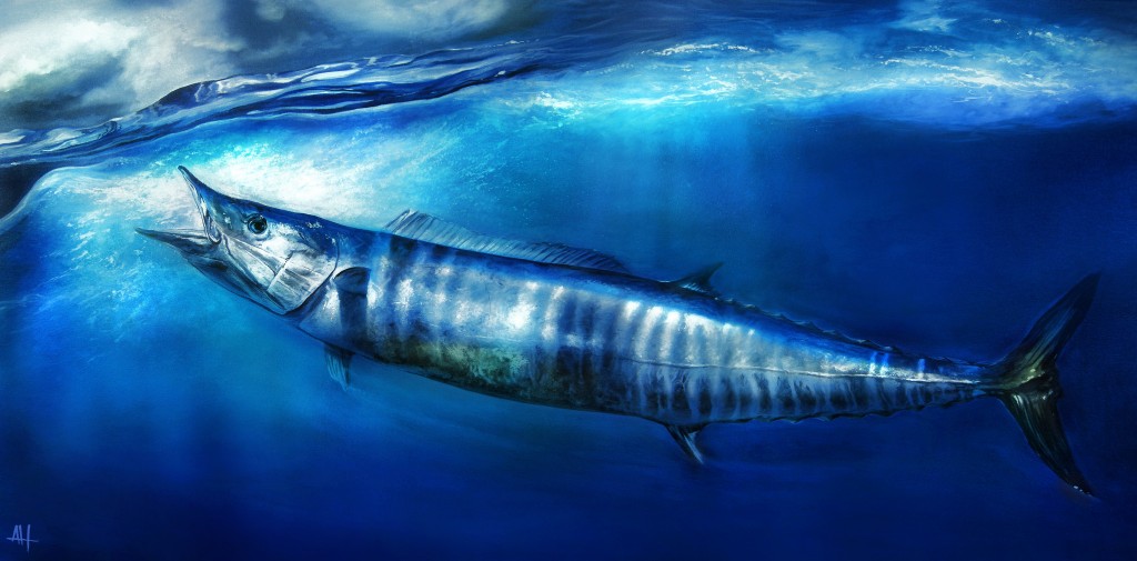 Wahoo