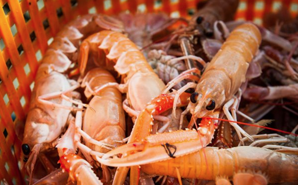 CertifiedSeafood