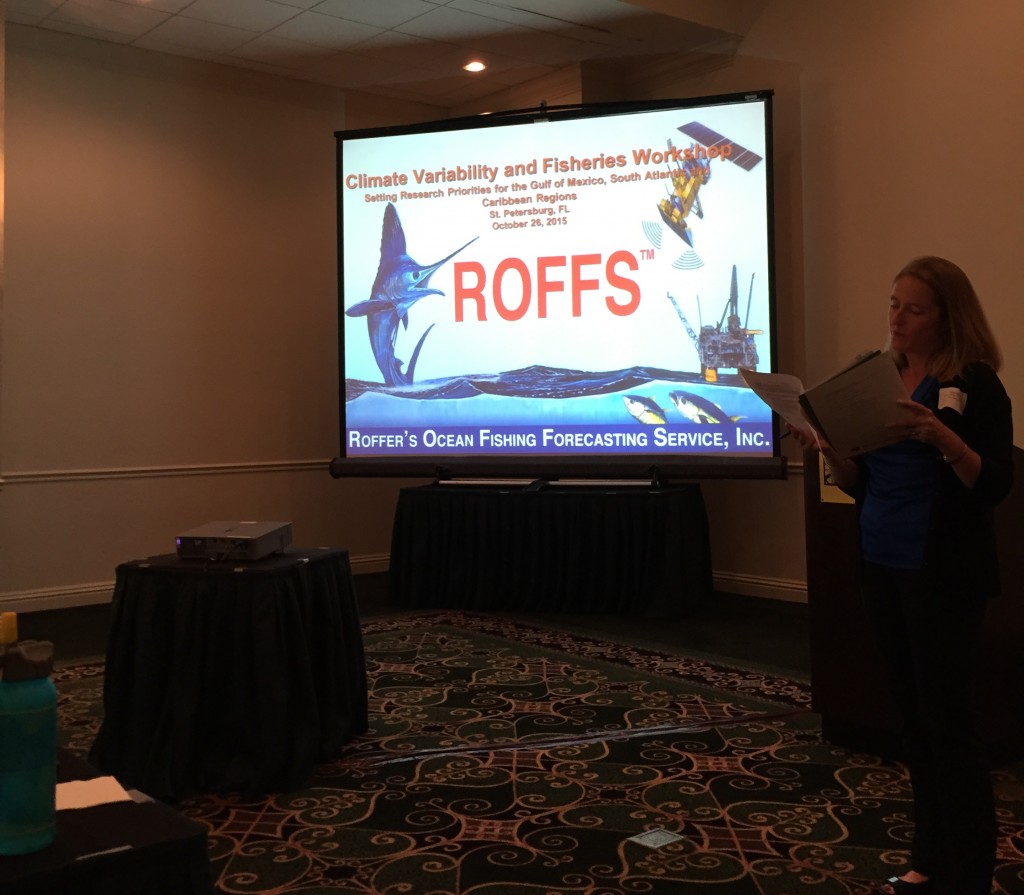 ROFFSWorkshop2