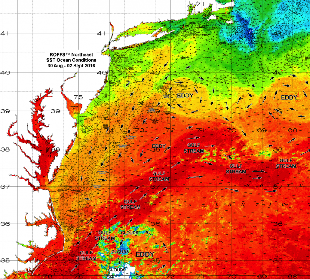 Hermine1