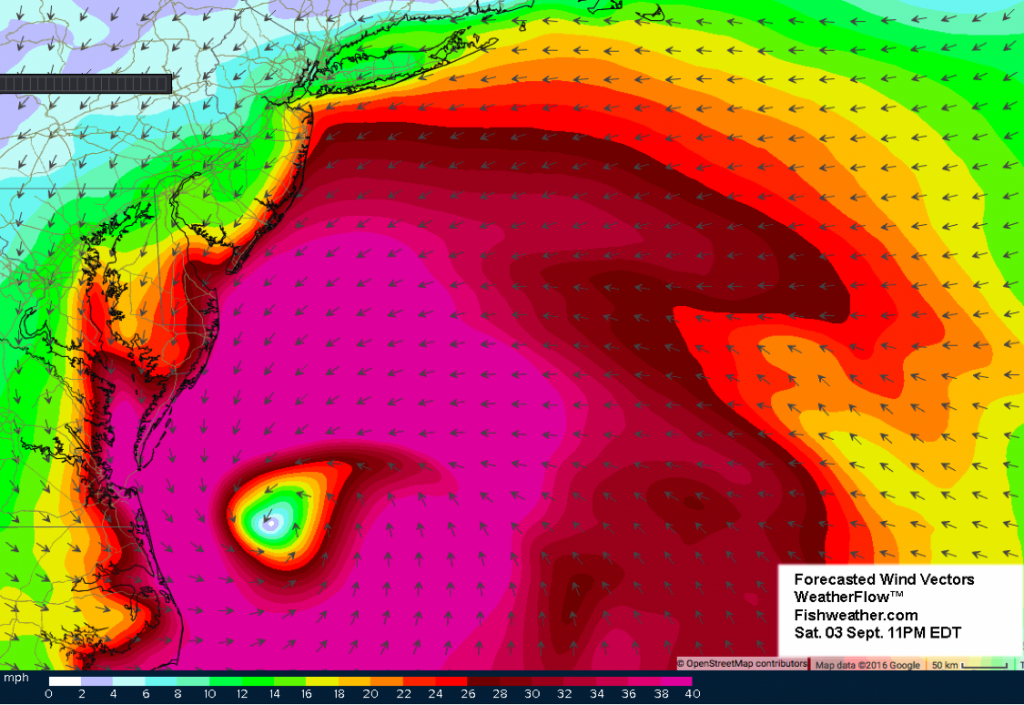 Hermine3