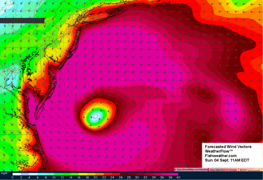 Hermine4
