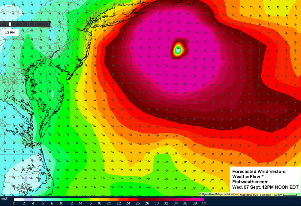 Hermine8