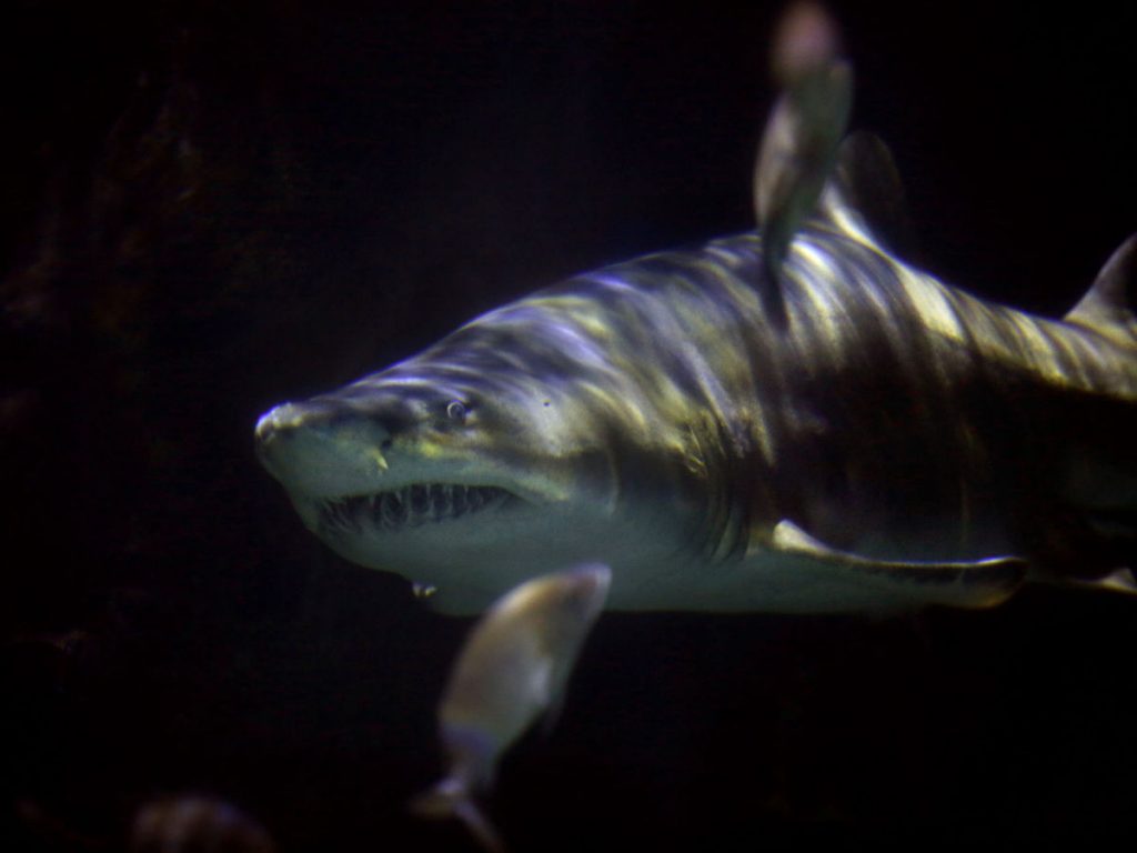 5800f522c5840-image