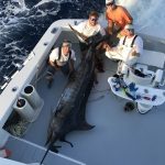 2017 Mississippi Gulf Coast Billfish Classic: 1st Place Catch & Release & 2nd Place Blue Marlin Captain Jeff Shoults & Autrey McMillan (Mollie)