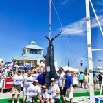 2017 Mississippi Gulf Coast Billfish Classic: 1st Place Catch & Release & 2nd Place Blue Marlin Captain Jeff Shoults & Autrey McMillan (Mollie)