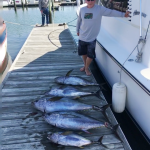 ROFFS™ Client Carl Frandino (Reel Keepher), HOT TUNA action in the Canyons out of Great Egg Inlet, NJ.