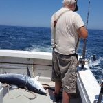 Well the damn sw wind that has plagued us for days finally quit and I took Shawn Malloy and crew out to catch the elusive isurus oxyrincus or the short finned mako shark. They did catch a very nice 73" beauty that was around 150 lb. Wierdest mako I have ever seen. He swam right up to my mako magnet and spent 10 minutes swimming around the boat while I rigged a drop rod and fed him a mackerel which he promptly devoured. I let him swim away from the boat so when I struck him he wouldn't jump in the boat. So, I set the hook and....NOTHING! He just swam around as if nothing happened. So I hit him again,NOTHING! No runs, no jumps, NOTHING! So, we grabbed the leader since there was only 6 feet of line out, and when he came up, BOOM! The .357 magnum spoke and that was the end. How do ya figure? I dunno but a bit later about an 8 foot brown shark pretty much cleaned Shawn's clock before we released the beast at the boat. Crazy day. 54 degree water when I came out of GE inlet. 73 offshore.