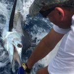 ROFFS™ Client Keith Toepfer (Top Shelf), from Gulfport MS last weekend, thank you for feedback and sharing your photo!
“Caught this marlin last Sunday open water temperature change line SW of South Pass. Could not have done it without the ROFFS™ and the trusty surface temp gauge.”