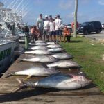Tuna Fever, Oregon Inlet