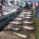Tuna Fever with Capt. Billy Maxwell putting some nice yellowfins on the dock.