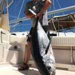 Nice catch for ROFFS™ Client Jonathan Pearse (Alexa Rae), Canyon trip out of Mystic CT.