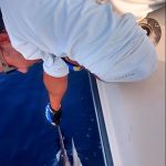 ROFFS™ Client Jesse Horsford (Arrg Value), white marlin releases out of Montauk NY.