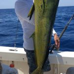 ROFFS™ Client Chantz Huggins and Crew on Fighting Chantz. Nice catch out of Murrells Inlet SC.