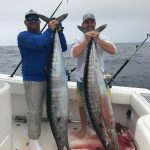 Nice triple wahoo hook-up (55, 78, and 92 Lbs!) by ROFFS™ clients Captain Kyle Billings, Kevan Billings and Eric Stephens.
