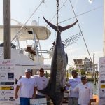 Congratulations to ROFFS™ Clients Curtis Struyk & Captain Chris Russell (Piracy) Hatteras Village Offshore Open (NC): 1st Place Level IV Biggest Blue Marlin & 1st Place Level VII Additional Biggest Blue Marlin.