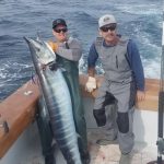 Monster NC Wahoo!!! Great wahoo fishing off Wrightsville Beach, NC last week. Good going ROFFS™ client Worth Farrington on the "Blue Eyes" with this massive 105 lb. wahoo! #ROFFS #wahoo #wahoofishing #monsterfish #monsterhoo #NCwahoo #blueeyesfishingteam #savetime #savefuel #useROFFS #findingfishsince1986
